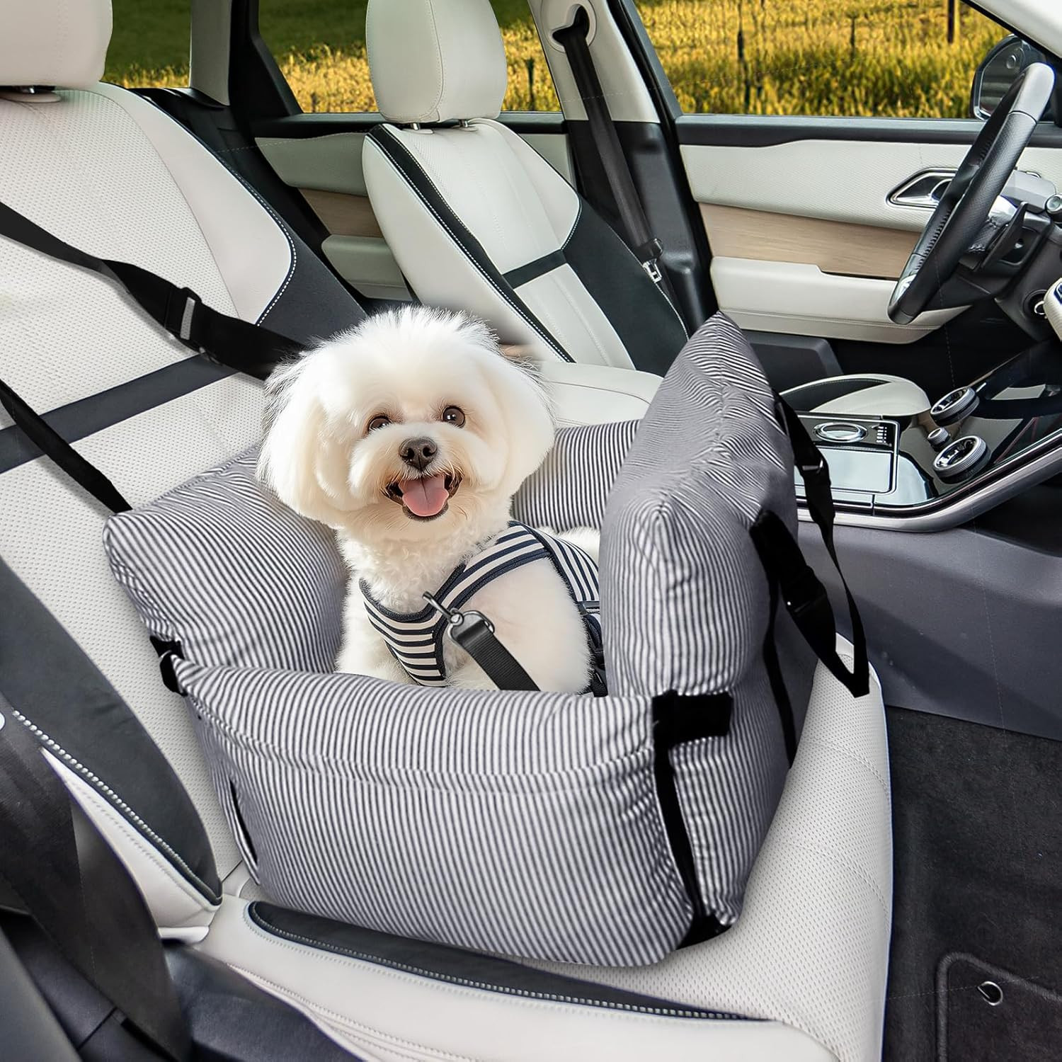 Trasportino Auto Cane Elegante | Seggiolino Rialzato con Vista