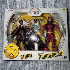 Hasbro Marvel Legends Storm And Thunderbird X...