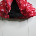 Bild 7 von 12