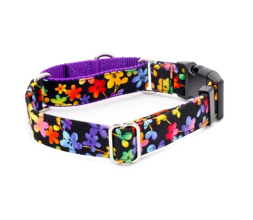 Neon Flowers Dog Collar Buckle & Martingale - Picture 2 of 12