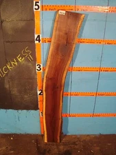 # 8537  Black Walnut Live Edge Slab lumber wood L 59 1/16" W 10" T 1 15/16"