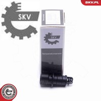 Esen SKV 17SKV683 Sensor FüR Ansauglufttemperatur Sensor FüR