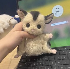 Jellycat Rare Lolly Sugar Glider 15cm Plush BNWT with Dust Bag Halloween Gift