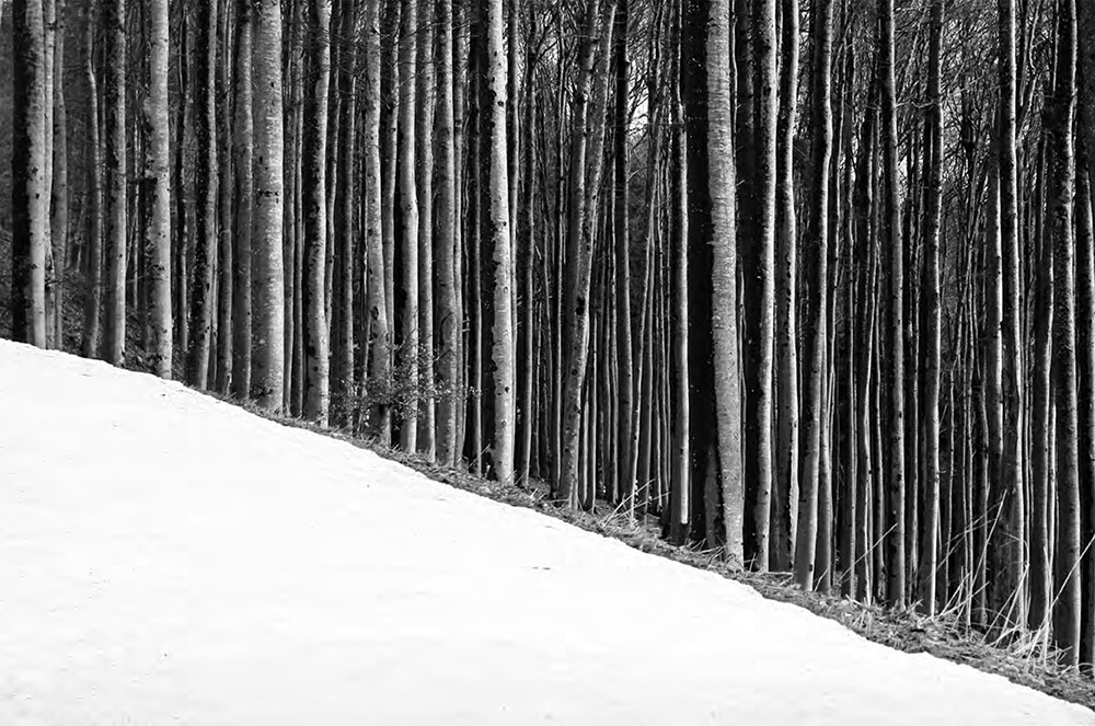 Thumbnail - Schwarz. Wald. Land., Joseph Carlson