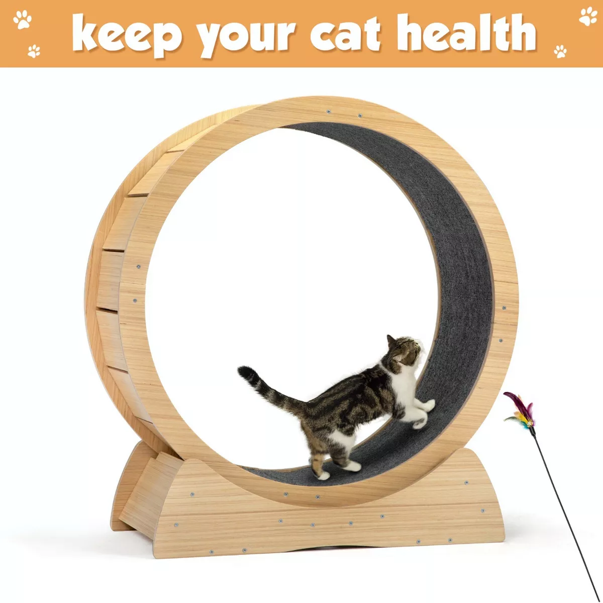 Fat cat exercise hot sale wheel