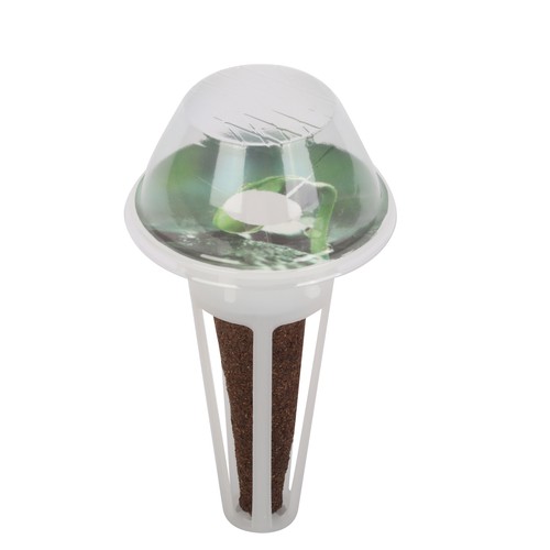 200 x Hydroponic Garden Seed Pods Grow Anything Kit with Accessories Sponge Dome - 第 17/17 張圖片