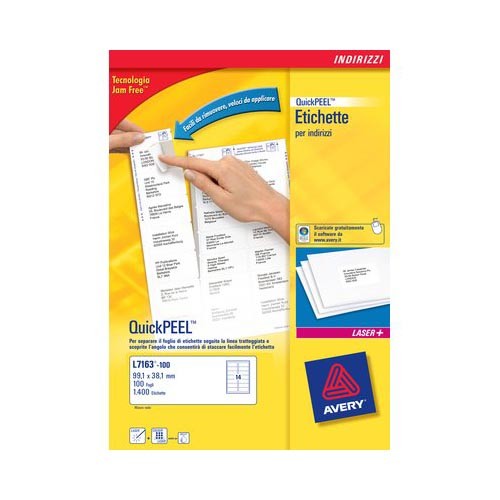 Etichette Adesive BlockOut Avery - 99,1x93,1 mm - L7166-100 (Bianco Conf. 100)