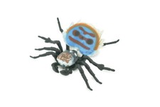Peacock Spider Toy Jumping Spider Painted Realistic Rubber Model 4.5