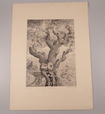 Radierung der Weltenbaum 1974 signiert 2 von 10 groß Baum mit Fachwerkhaus und M