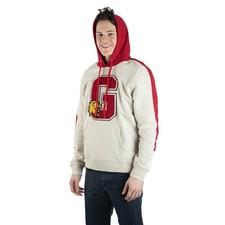Harry Potter Gryffindor Chenille Patch Hooded Sweatshirt