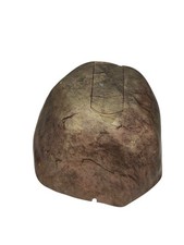 Invisible Fence Outdoor Shields Plus Rock Transmitter