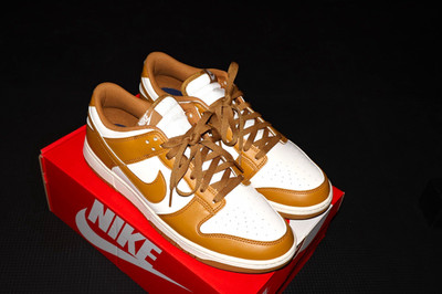 Nike Dunk Low Men's Low Top Lace Up Colorblock Sneakers White/Brown