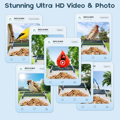 Bird Feeder with Camera-2K HD & Full Color Night Vision, Free BF002 Deep Blue