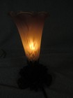 Bild 4 von 5