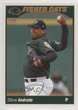 2005 Choice New Hampshire Fisher Cats Steve Andrade #2 n1u