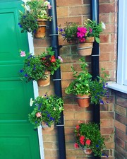 Single drainpipe planter / pot hanger (6 pack)