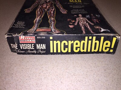The Visible Man Anatomy Science Assembly Kit #800 1959 Renwal