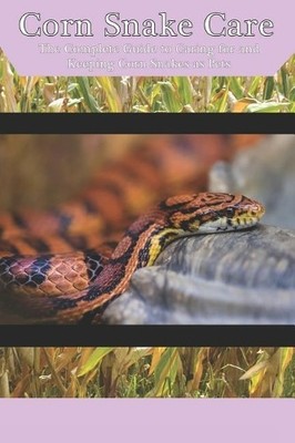 Tabitha Jones Corn Snake Care (Paperback)