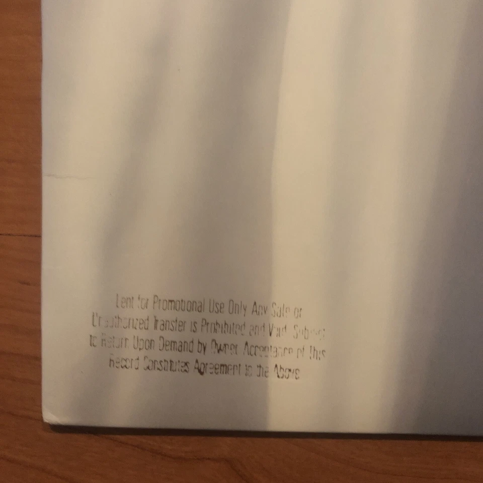 Harold Budd: The White Arcades PROMO LP Foto 2 de 4