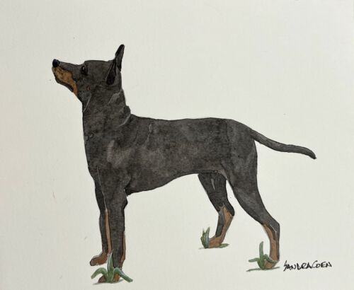 Toy Manchester Terrier Original Watercolor Painting Trotting Dog By Sandra Coen - Picture 1 of 1