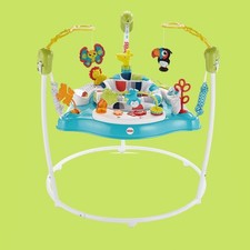 Fisher-Price Color Climbers Jumperoo Home Baby Toy Activity Entertaining Bouncer