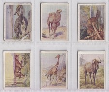 Trade Cards - Wild Animals / Wonders of the Deep (Kardomah) - 18 Cards