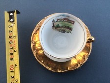 Bareuther Waldsassen Bavaria Germany Gold Tea Cup and Saucer