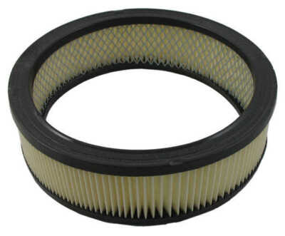 Air Filter Pentius PAB3588