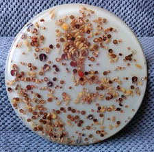 Vintage Seed, Grain, Ladybug Trivet 70s Resin Lucite Acrylic 8.5" Round 