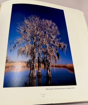 Signed Charlestown Carolinas USA Lowcountry Landscape Tom Blagden Decor Book VTG