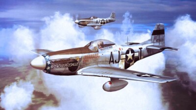Franklin Mint Armour P-51D Mustang Short-Fuse Sallee B11B183 ART