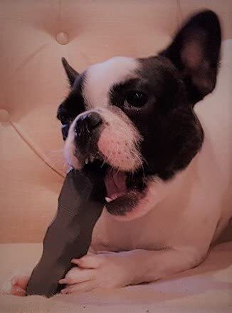 Juguete Masticable Original Indestructibone para Perros 16-29 Libras - Imagen 4 de 5