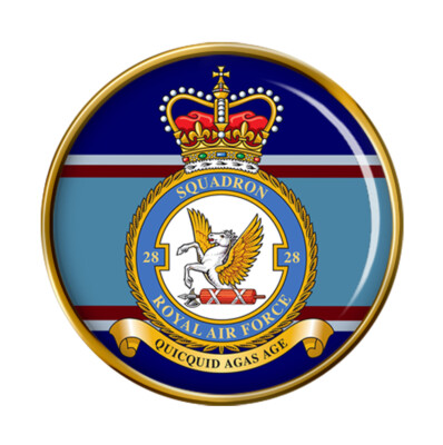 28 Squadron, RAF Anstecknadel