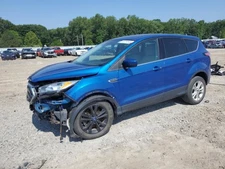 (LOCAL PICKUP ONLY) Trunk/Hatch/Tailgate Privacy Tint Glass Fits 17-19 ESCAPE 17