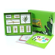 Scatola di Esemplari Scientifici Educativo Kit di Esemplari in Resina Didattico