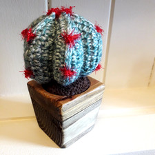 Cactus fatto a mano all'uncinetto in vaso di legno di recupero artigianale.