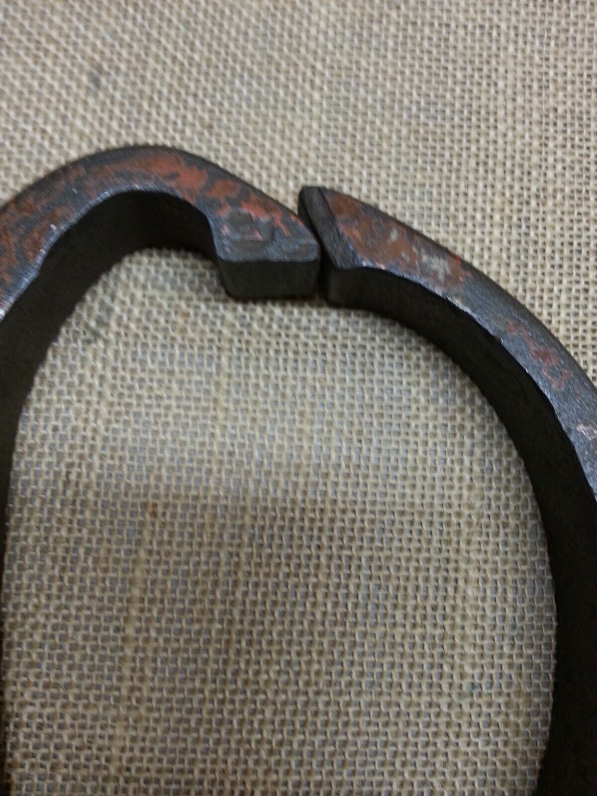 Picture 5 of 12