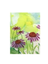 Painting Aceo art card by Kenna Hand Painted Echinacea Flower 2.5” X 3.5” Signed