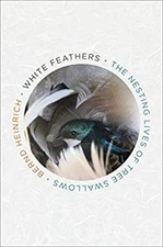 White Feathers : The Nesting Lives of Tree Swallows Hardcover Ber