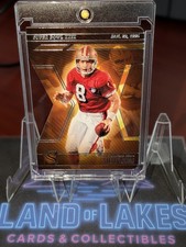 2025 Panini Silhouette Steve Young Superbowl XXIX Die-cut #6 SF 49ers