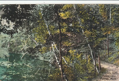 Shady Nook Forest Lake Palmer Massachusetts MA Antique Souvenir Postcard