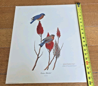 Eastern Bluebird WM Zimmerman Signed Nature Lithograph Print Indiana Cincinnati