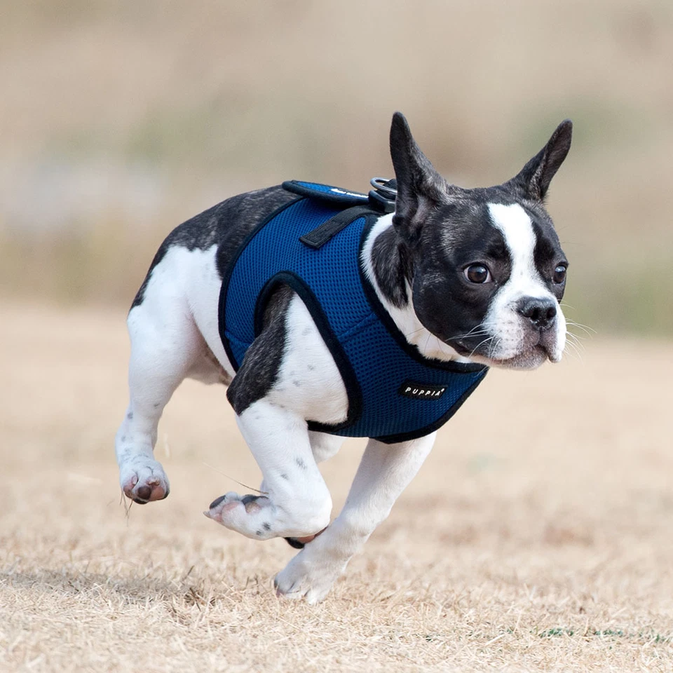 Arnés chaleco suave Puppia® [PAHA-AH305] - 15 colores / 7 tallas Foto 2 de 2