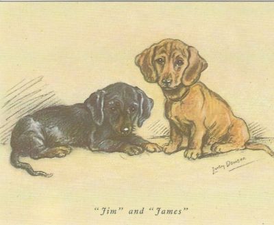 Dachshund Puppy - CUSTOM MATTED - Dog Art Print - Lucy Dawson