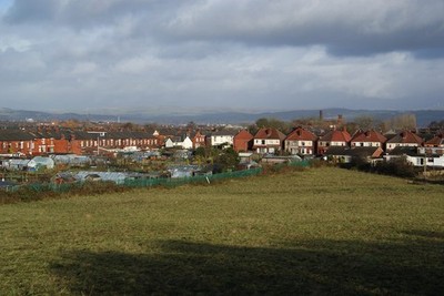 Photo A3 Horse grazing and Sapling Road Allotments Bolton/SD7108 There  c2011