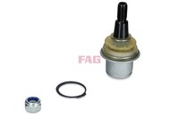 Schaeffler Fag Traggelenk FüHrungsgelenk 825 0485 10 M16 X 2 45Mm FüR Landrover