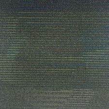 Shaw CACTUS 00370 Carpet Tile. 48sq.ft./Case