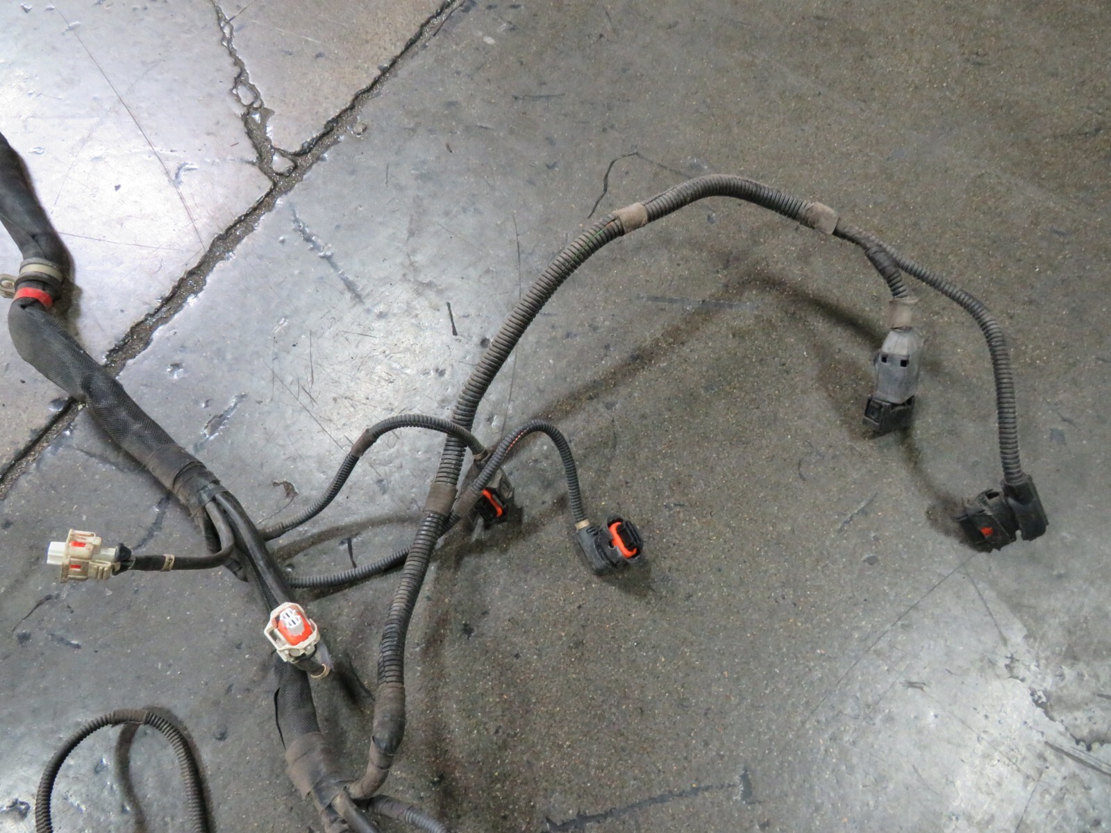 Ferrari 360, Spider, LH, Left, Main Engine Wire Harness, Used, P/N 179166