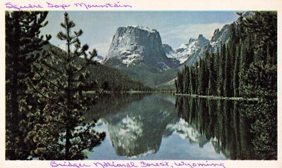 Square Top Mountain - Bridger National Forest - Wyoming WY - Postcard
