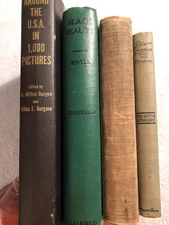 VINTAGE LOT OF 4 BOOKS 1896-1955 EVANGELINE-SILVER PENNIES-BLACK BEAUTY-1000 PIC